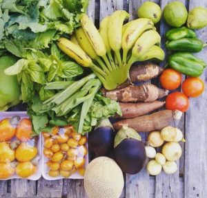 Alimentos organicos
