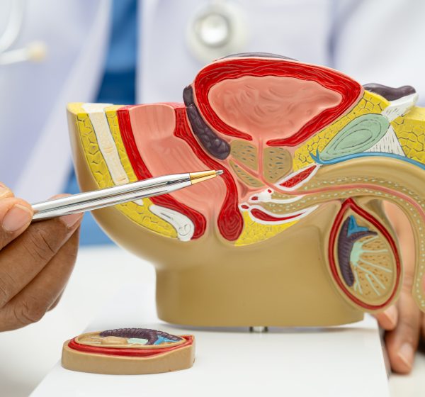 Novembro Azul reforça importância da prevenção e alerta para baixa adesão aos exames de próstata
