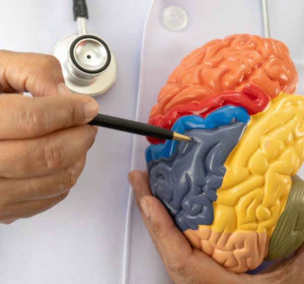 Fevereiro Roxo amplia debate sobre doenças crônicas e direitos de pessoas com lúpus, fibromialgia e Alzheimer