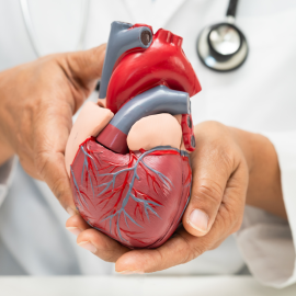 Saúde do homem: sinais de alertas são importantes na detecção de doenças cardiovasculares